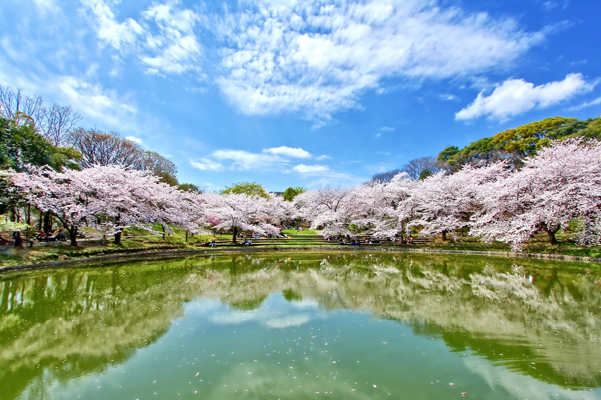 🌳 꽃박람회 기념공원 쓰루미 녹지 이미지 1